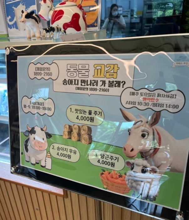 젓소목장-우유-요거트-야베스목장