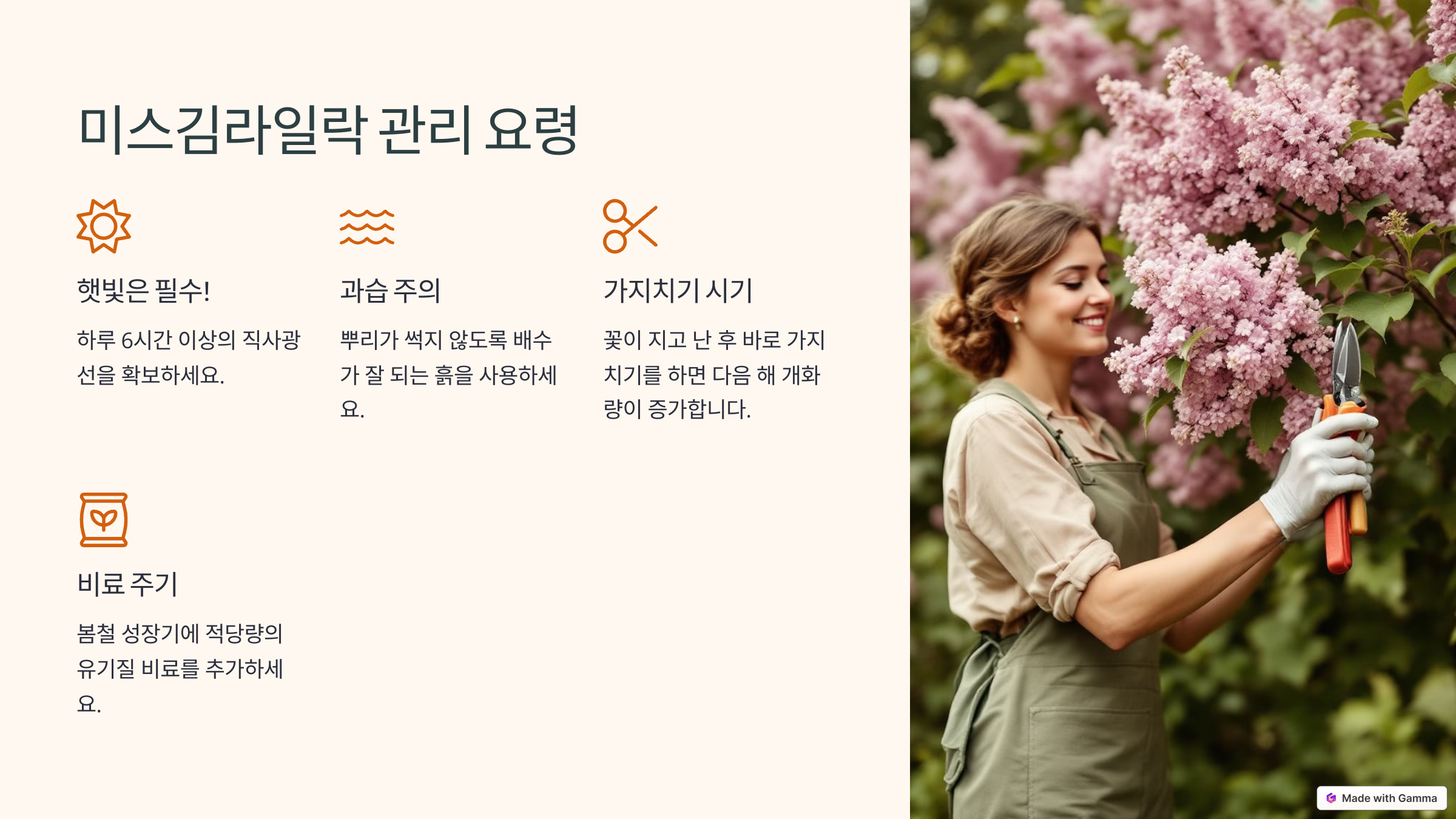 미스김 라일락 사진