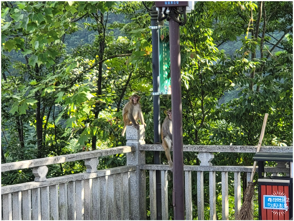장가계 천자산 케이블카