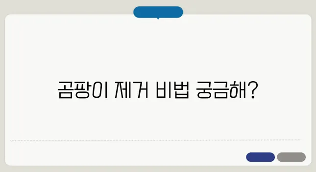 곰팡이 벽지 제거 방법과 예방법