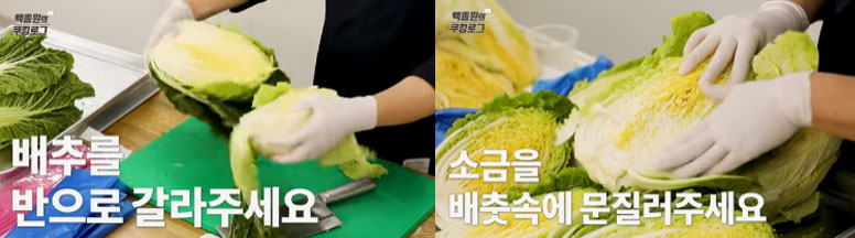 백종원 초보자를 위한 김장김치 황금레시피