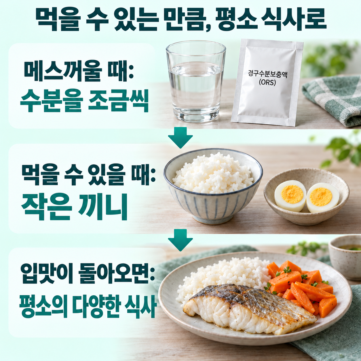 먹을 수 있는 만큼 평소 식사로; 메스꺼울 때: 수분을 조금씩; 먹을 수 있을 때: 작은 끼니; 입맛이 돌아오면: 평소의 다양한 식사
