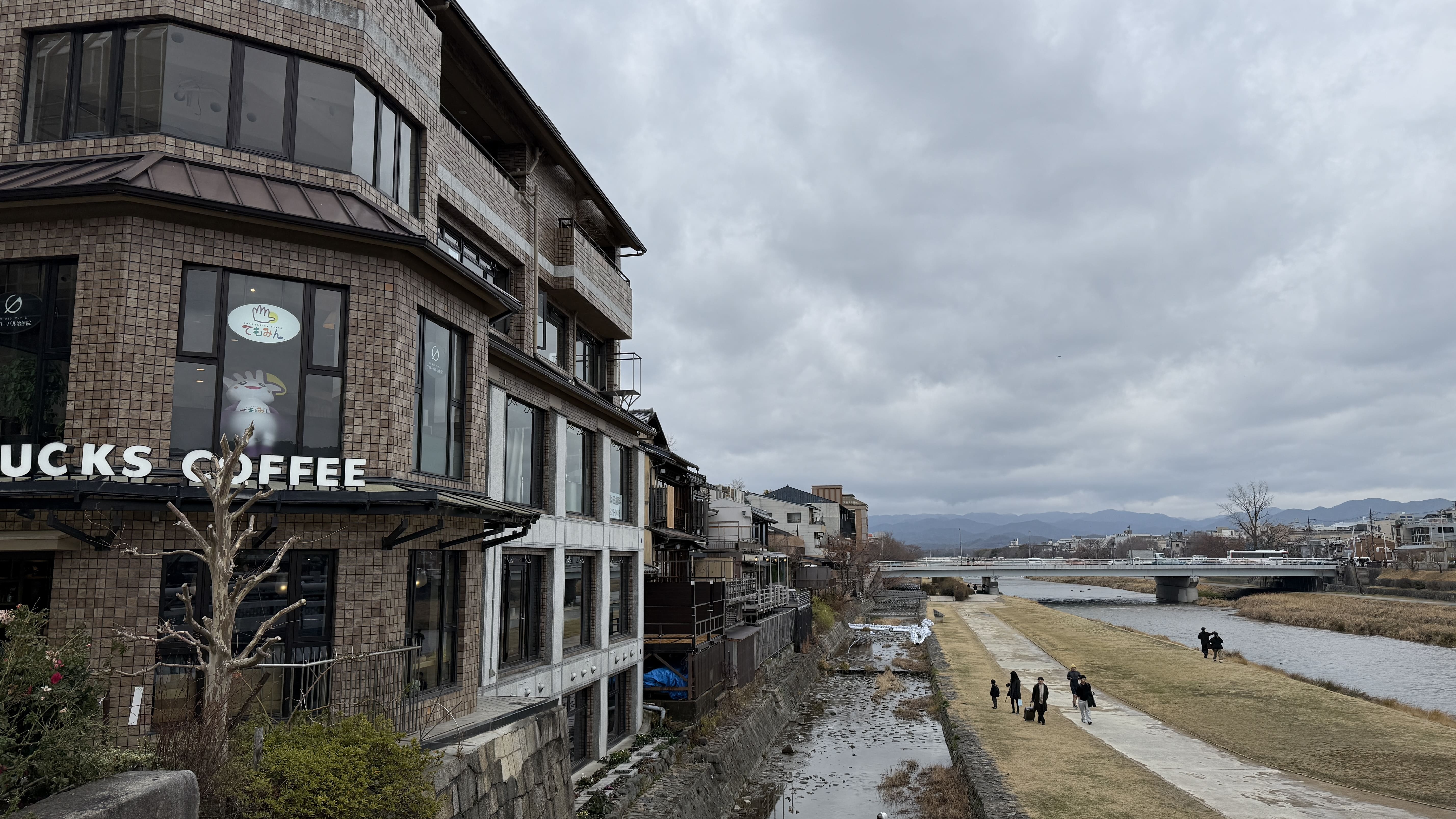 교토 봄여행 일본 스타벅스 가모강