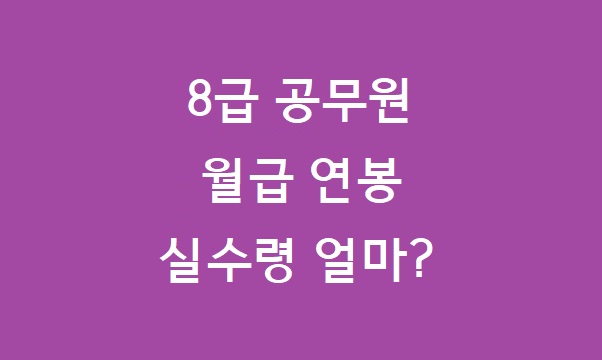 8급 공무원 실수령액
