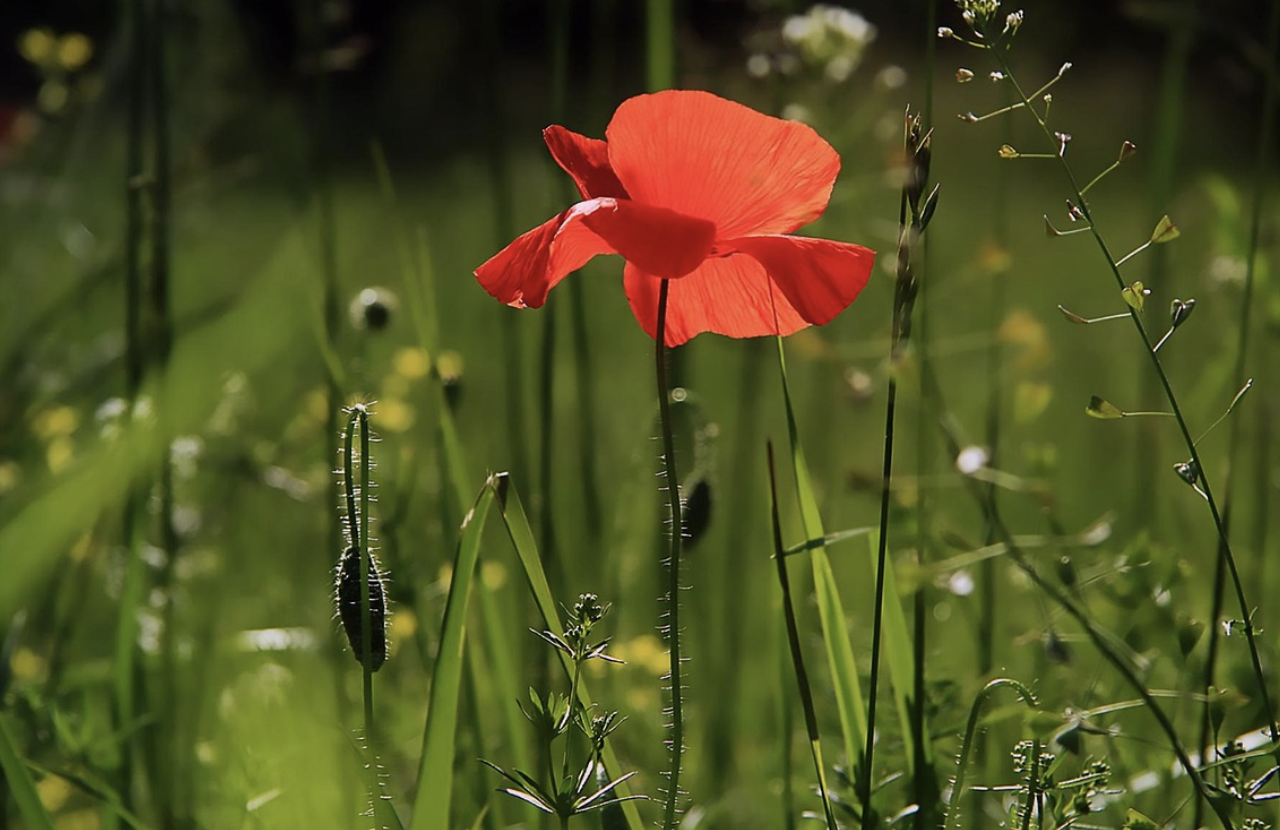 신생아 피부 트러블 관리법