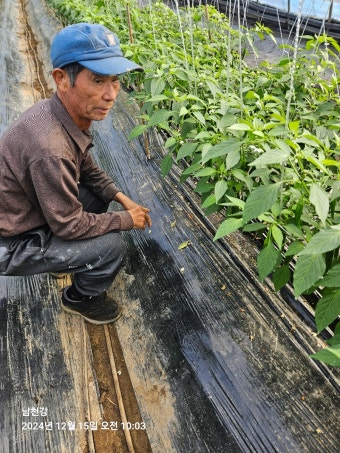 백세시대