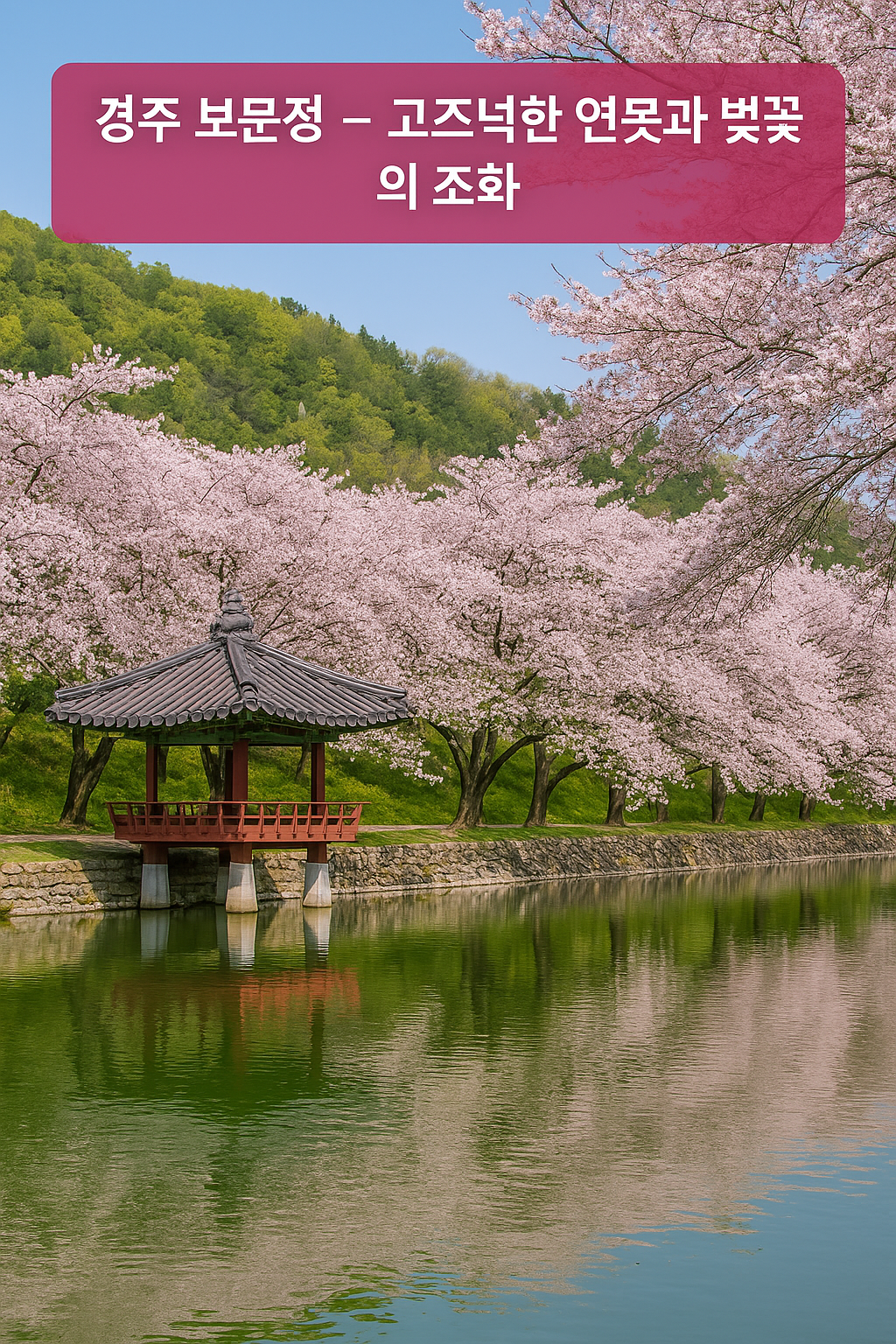 경주 보문정 – 고즈넉한 연못과 벚꽃의 조화