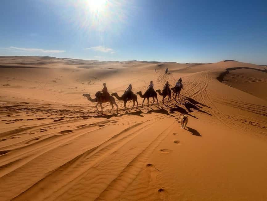 사하라 사막 (Sahara Desert)