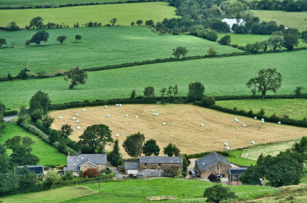 친환경 방제의 장점