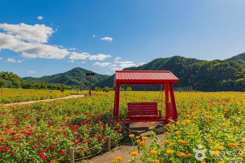 청송 가볼만한곳 베스트10