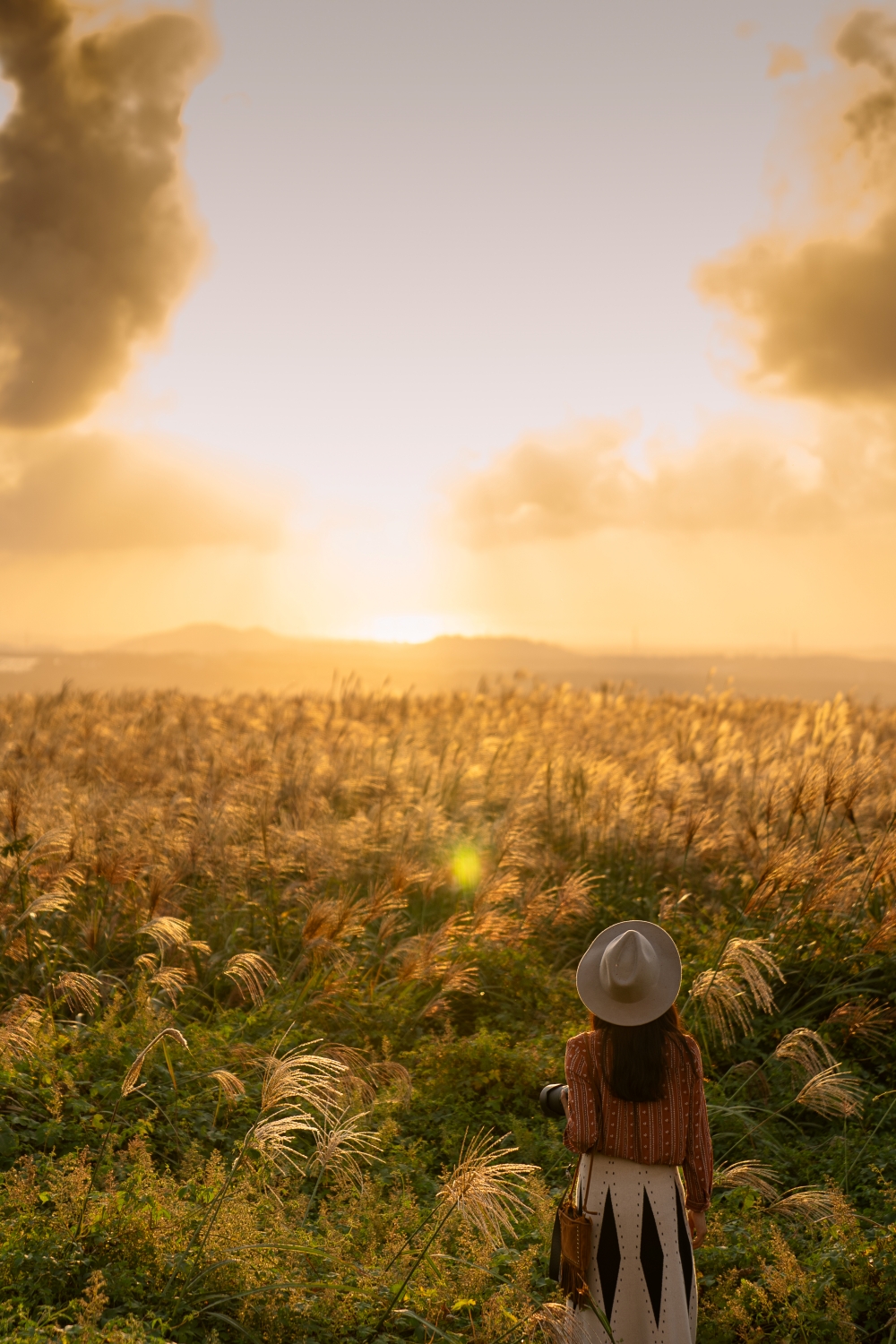 제주 어음리 억새 군락지