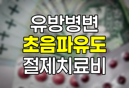 KB손해보험 유방병변초음파유도진공보조절제치료비 특약 해석