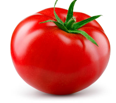 토마토