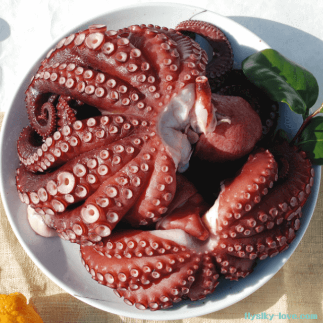 몸에 좋은 영양소가 풍부한 돌문어