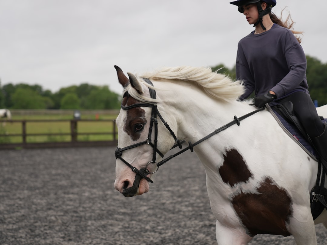 trot