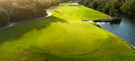 아람코 챔피언십