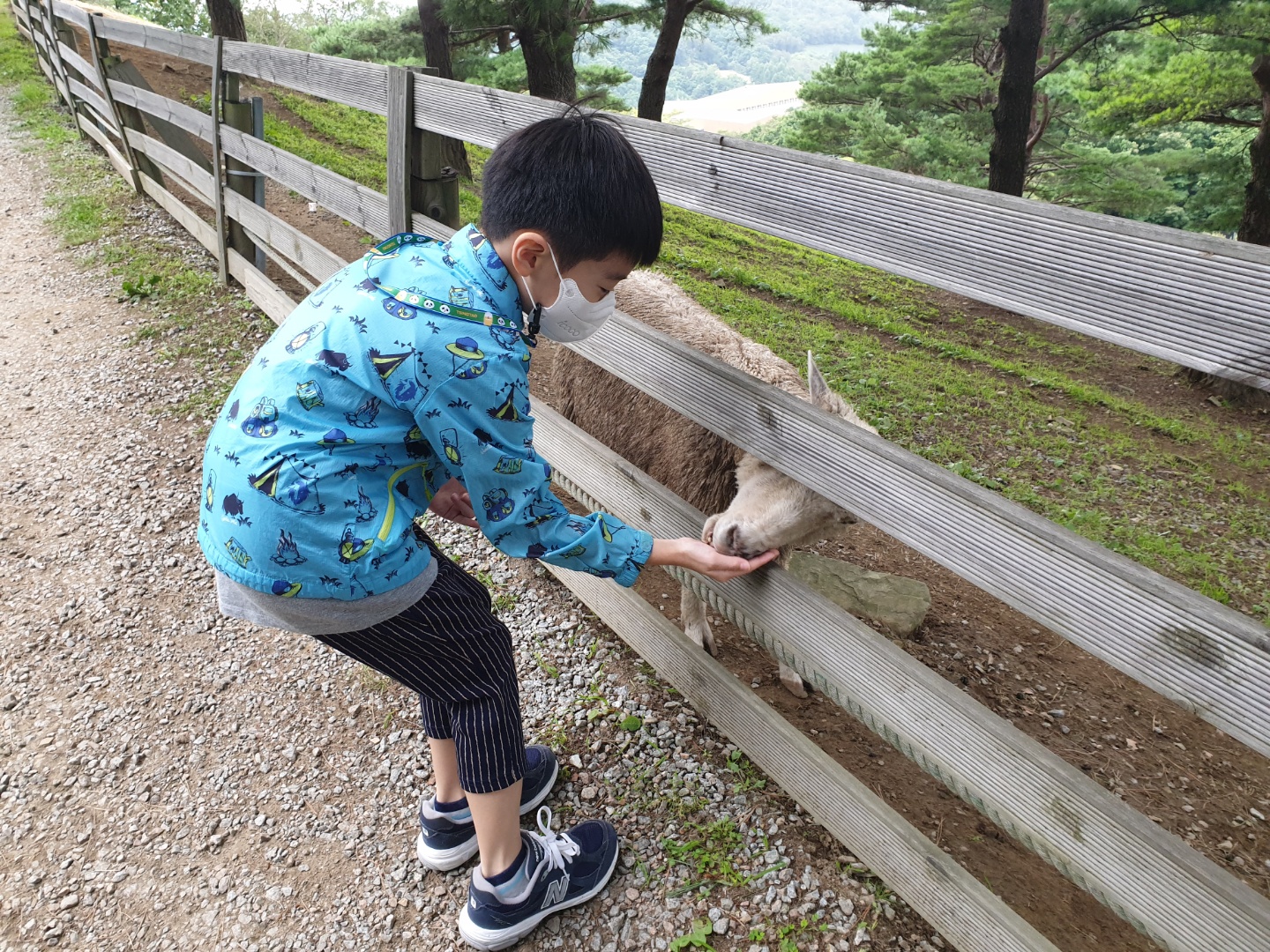 강원도 평창 가볼만한 곳 6 