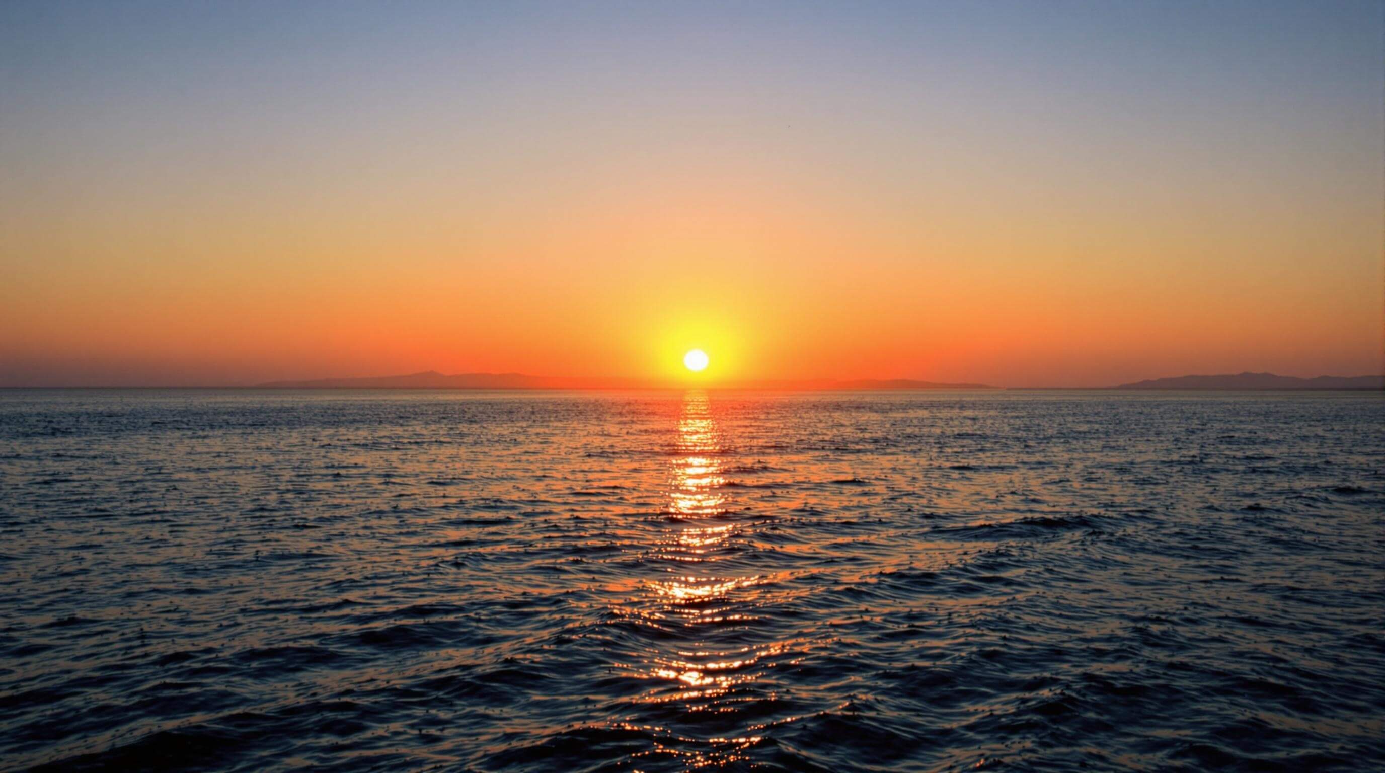 물고기자리 월별 운세