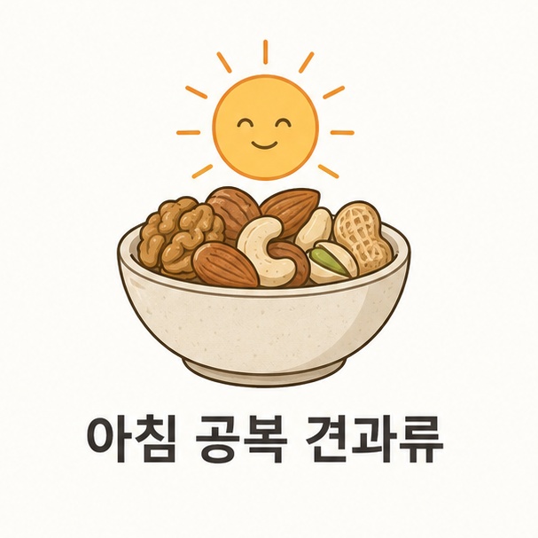 아침 공복 견과류 대표 이미지, 그릇에 담긴 견과류와 아침 햇살을 그린 일러스트