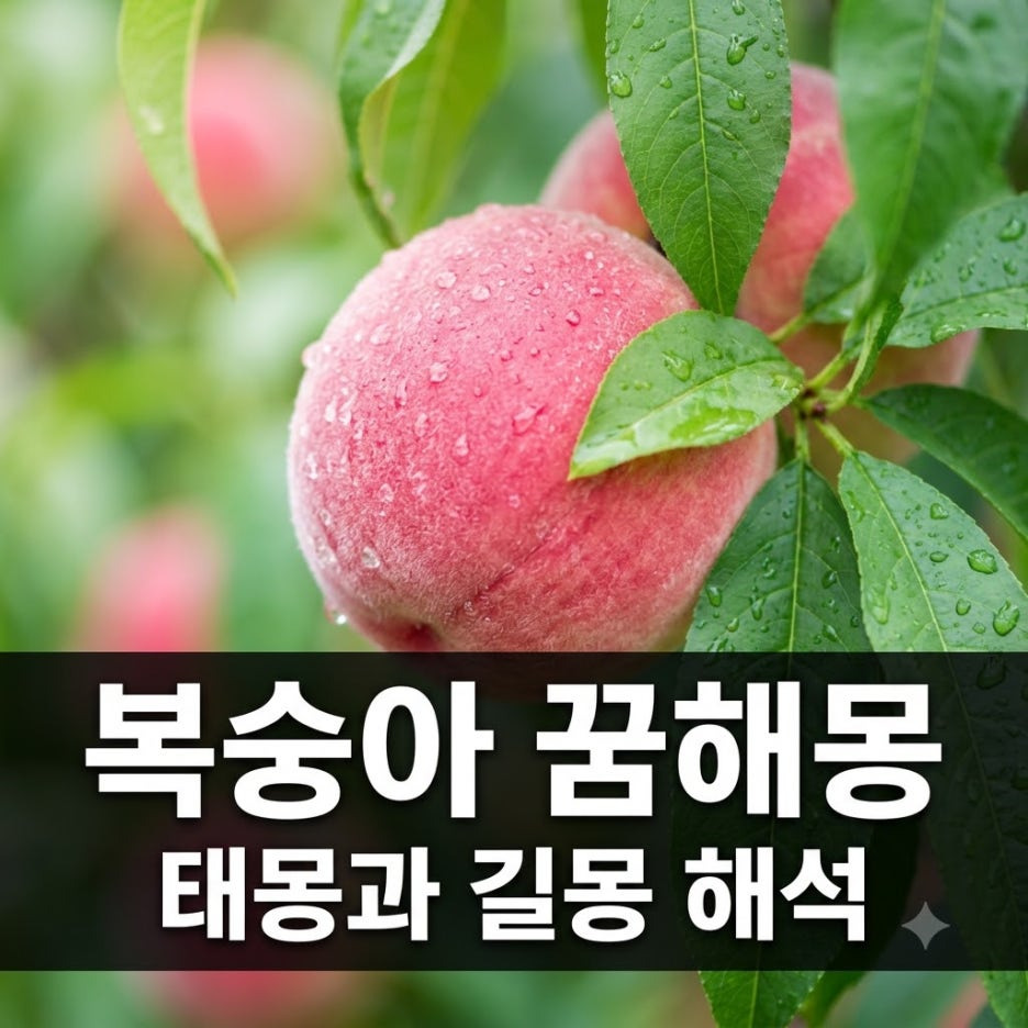 복숭아-꿈해몽