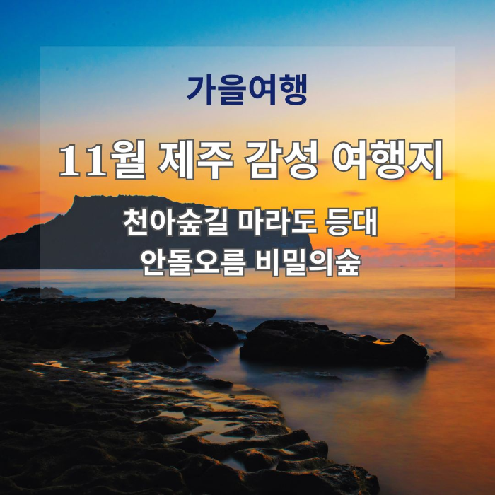 가을여행/11월/제주/감성/여행지