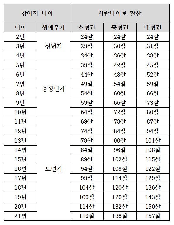 강아지-나이-표