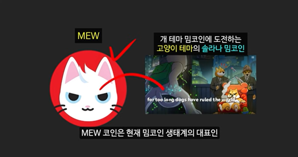 급등할 솔라나 밈코인 캣인어독스월드(MEW), 도지코인, 플로키, 벤도그, 마더, 그레이머, 워젝, 네버, 두코, 봉크