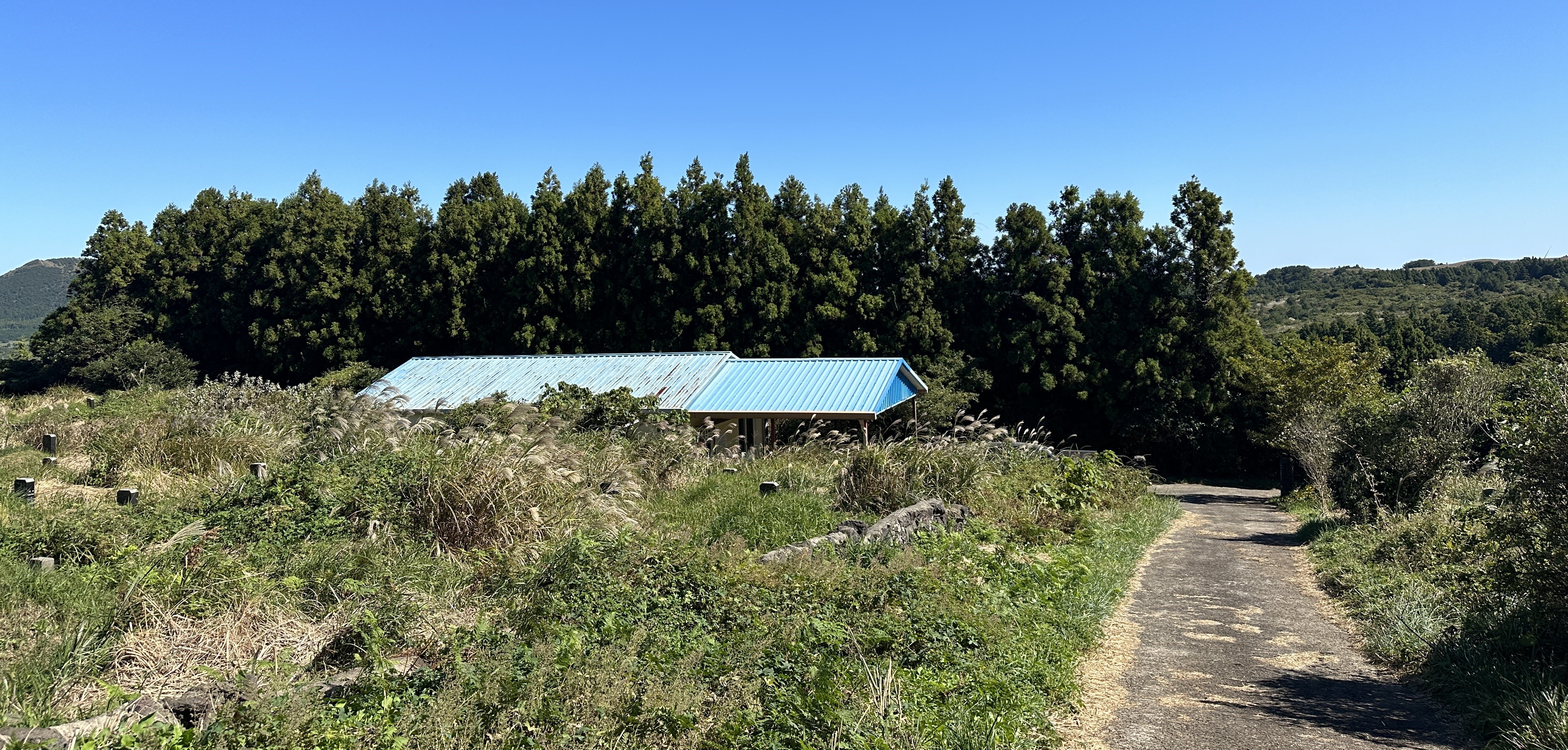 높은오름 내려가는길