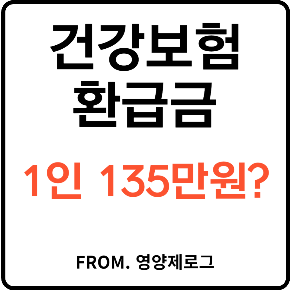 건강보험공단 환급금 1인 135만원 숨은 보험금 찾기