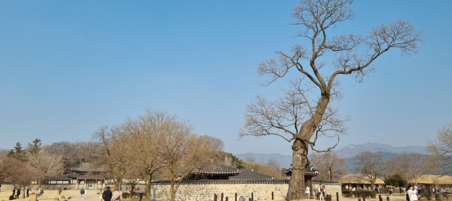 서산 태안 여행(9)