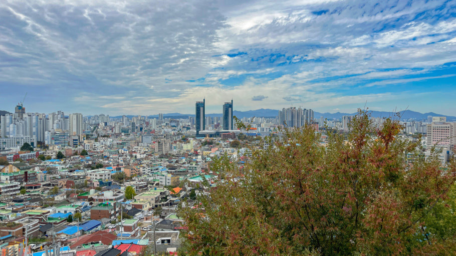 대충특별시 2026년 7월 출범 대전충남통합