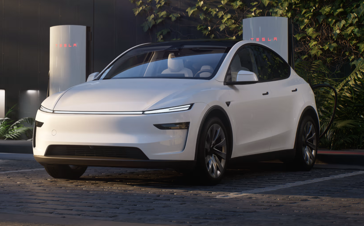 출시 배경과 시장의 반응은? 🌍