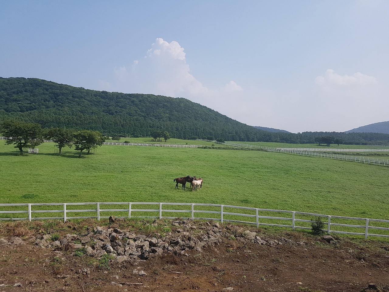 7월 한라산 특별 산행 예약 백록샘