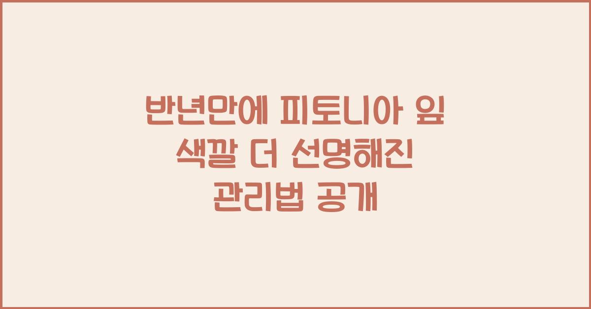 반년만에 피토니아 잎 색깔 더 선명해진 관리법