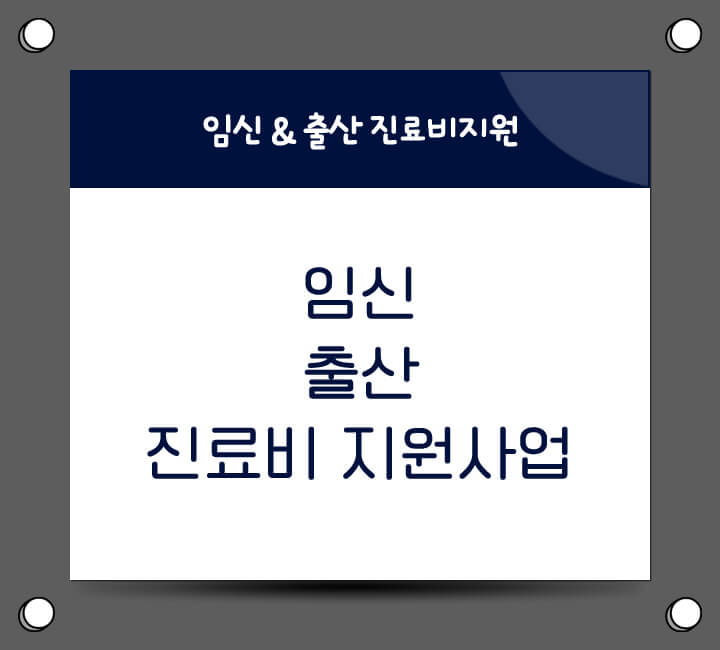 임신 출산 진료비 지원