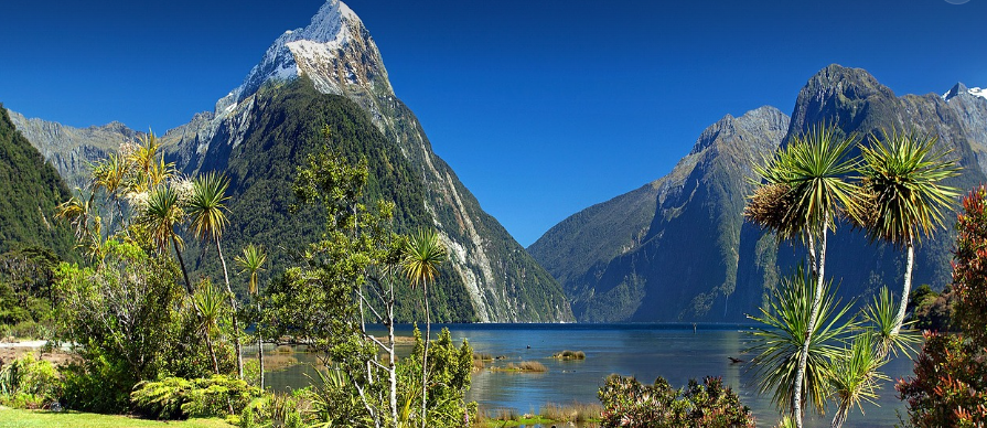 뉴질랜드 밀포드 사운드 사진