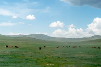 몽골 여행 날씨 필수 준비물_19