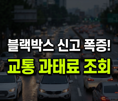 블랙박스 신고 급증&hellip;교통 과태료 조회 전에 꼭 확인해야 할 5가지