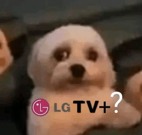 LG TV 효율적인 메모리 사용 앱 재실행 오류 해결법 정리_6