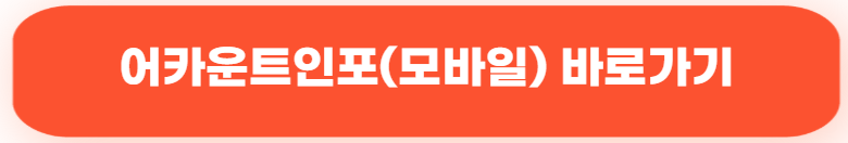 어카운트 인포