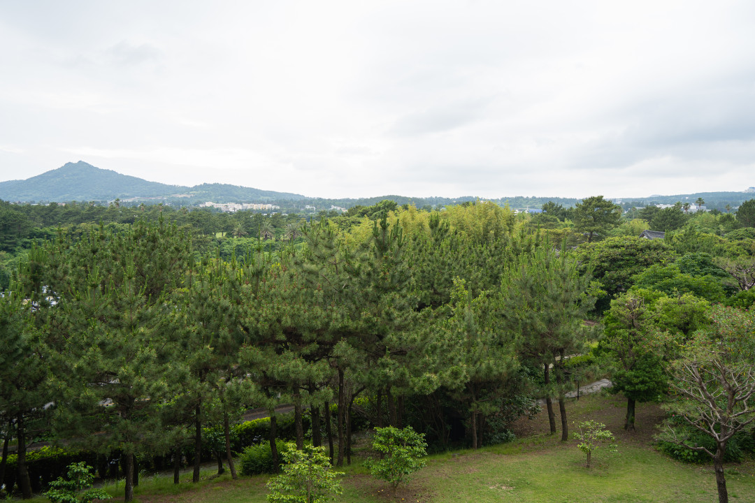제주 중문 신라호텔 뷰