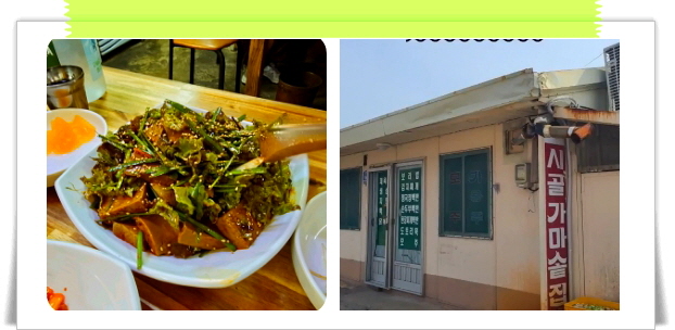 전현무계획2 전주 전통백반 청국장백반 제육볶음 후기