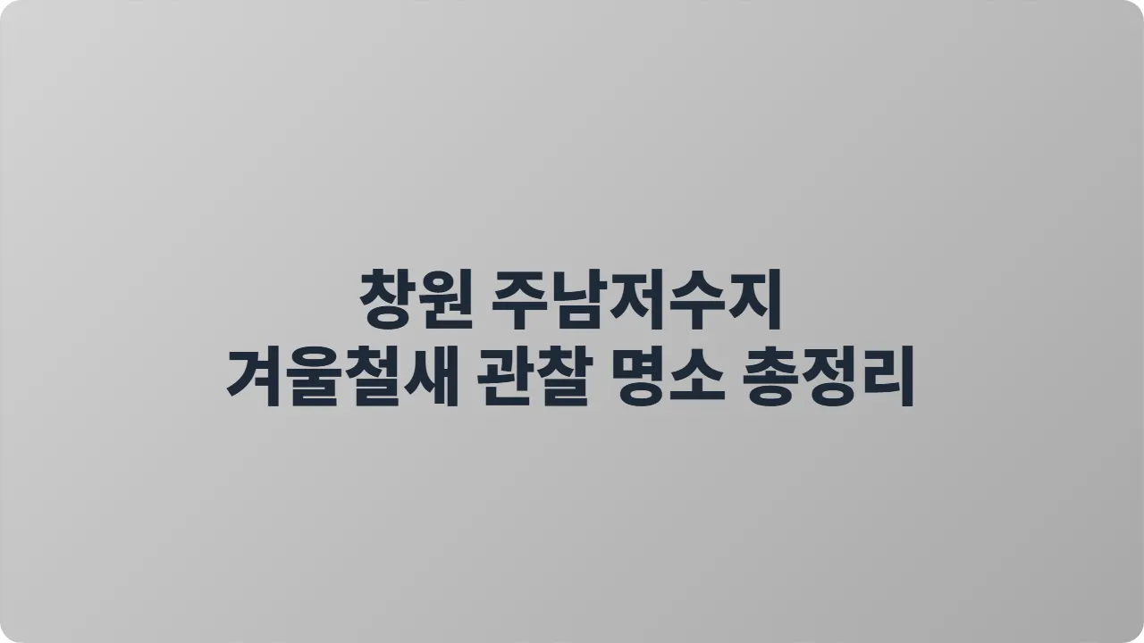 창원 주남저수지 겨울철새 관찰 명소 총정리