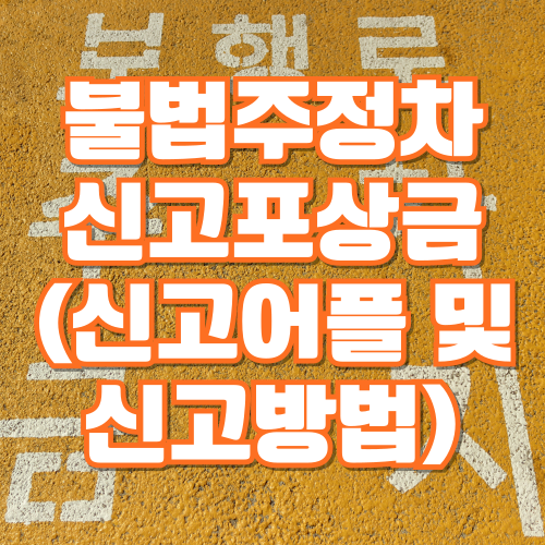 불법주정차 신고 포상금 (신고 어플 및 신고방법)