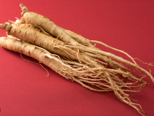 홍삼 건강기능식품 후기