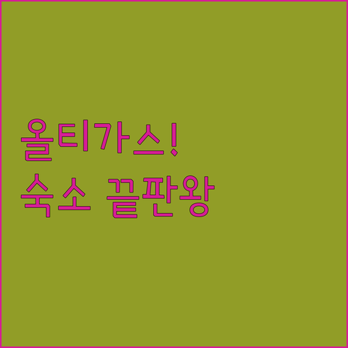 마닐라 그린힐스 올티가스 숙소 추천 ..