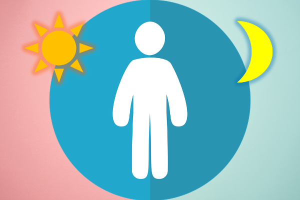 아침형 인간 vs 저녁형 인간의 디지털 생존 전략