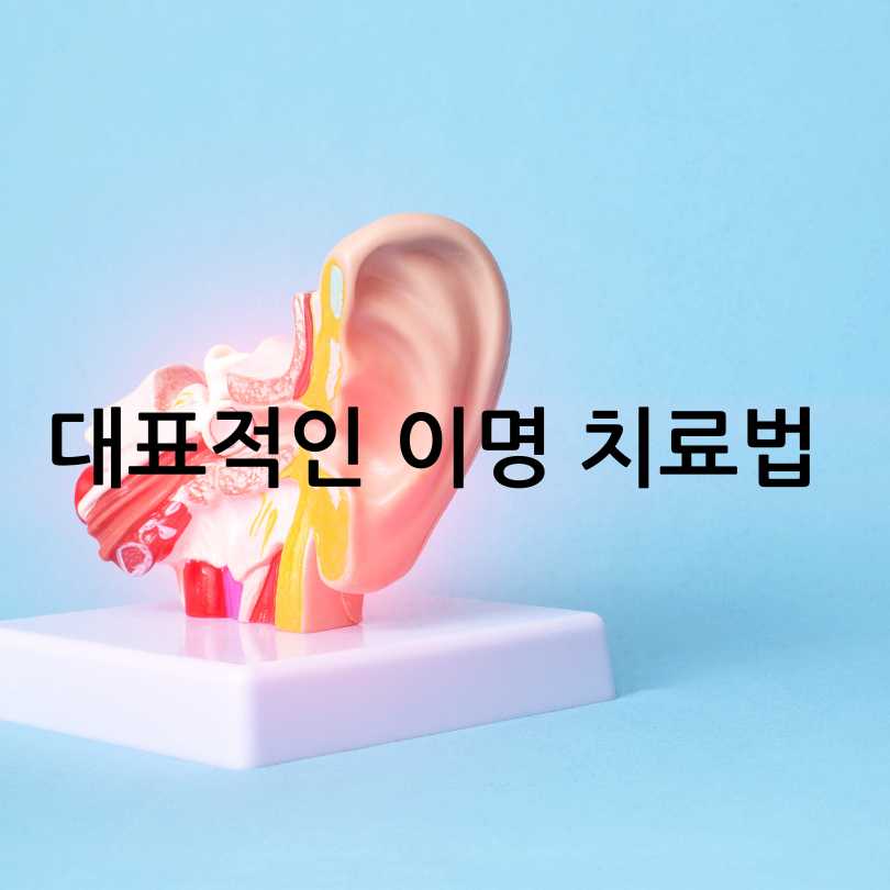 이명 원인,증상,치료방법, 해결책