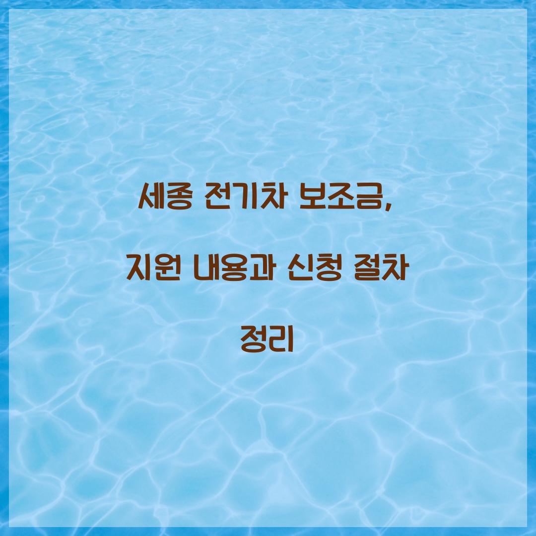 세종 전기차 보조금