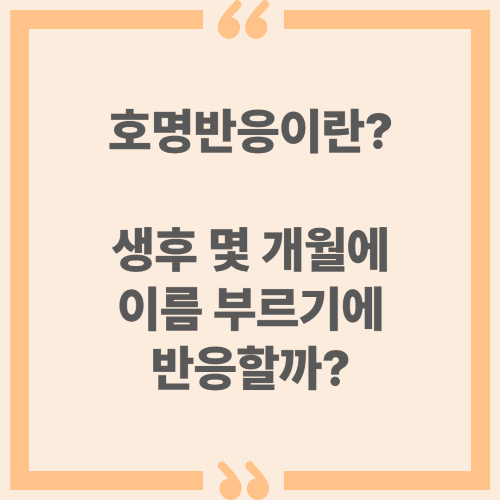 호명반응이란? 생후 몇 개월에 이름 부르기에 반응할까?